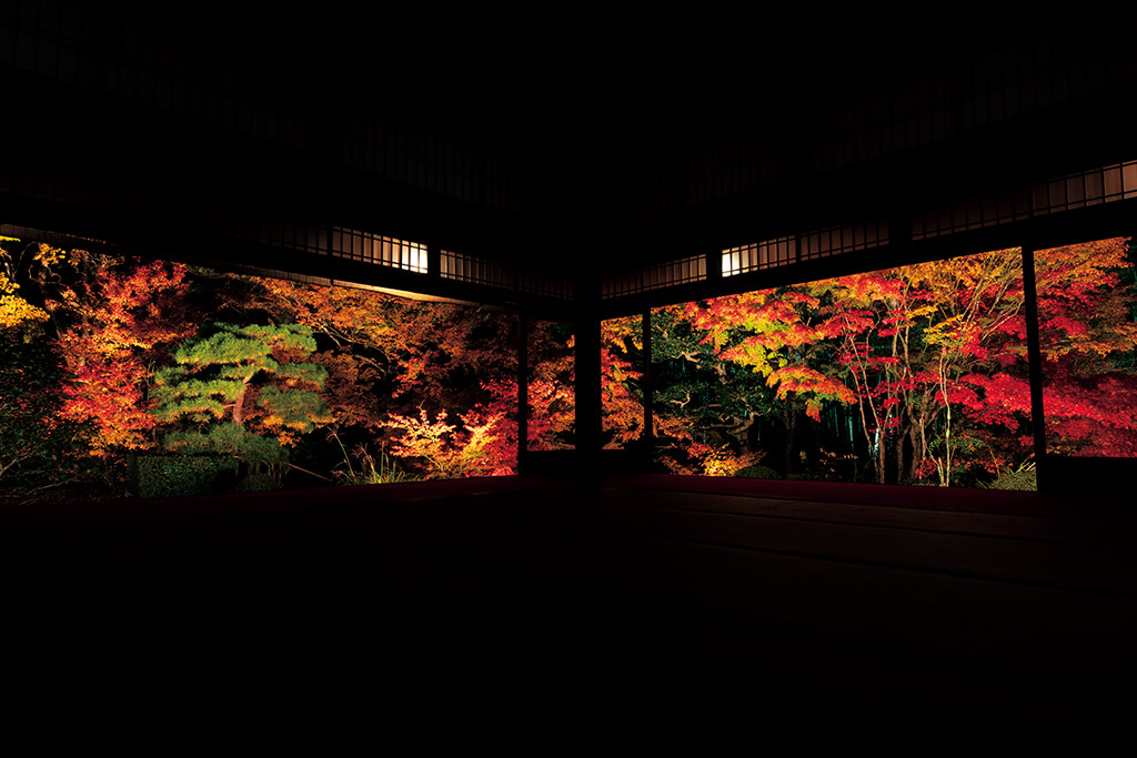 Symmetrical shot of autumn leaves from inside temple at night