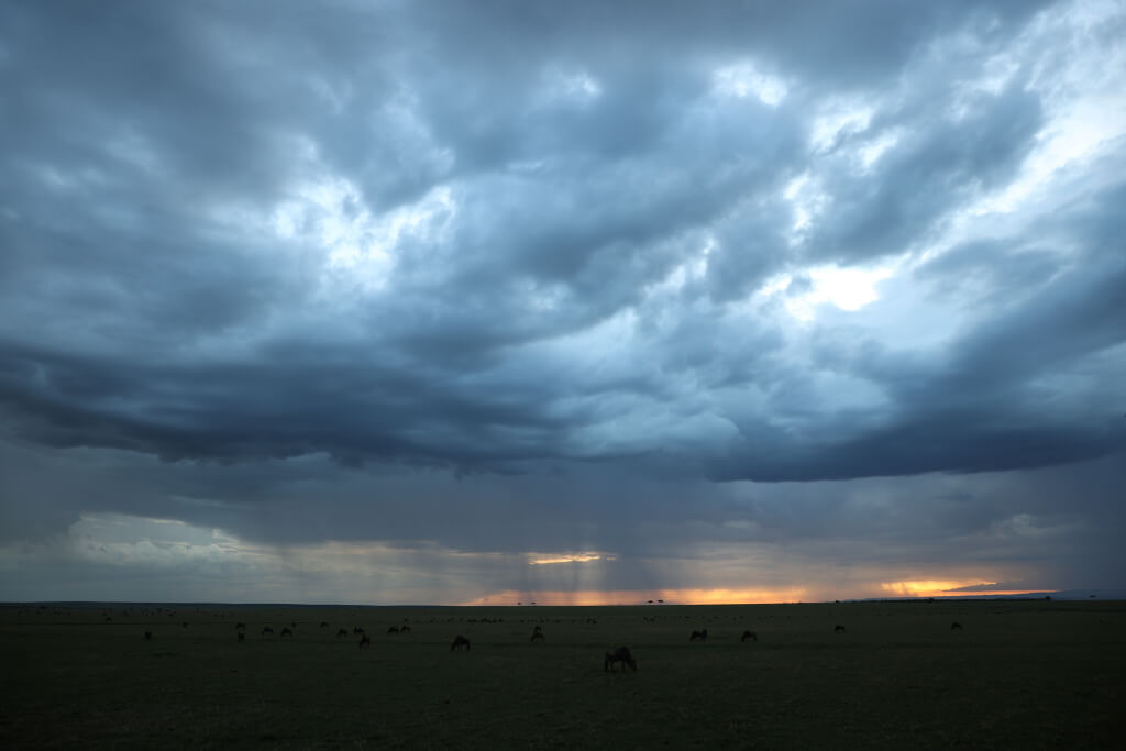 Heavy clouds over savannah