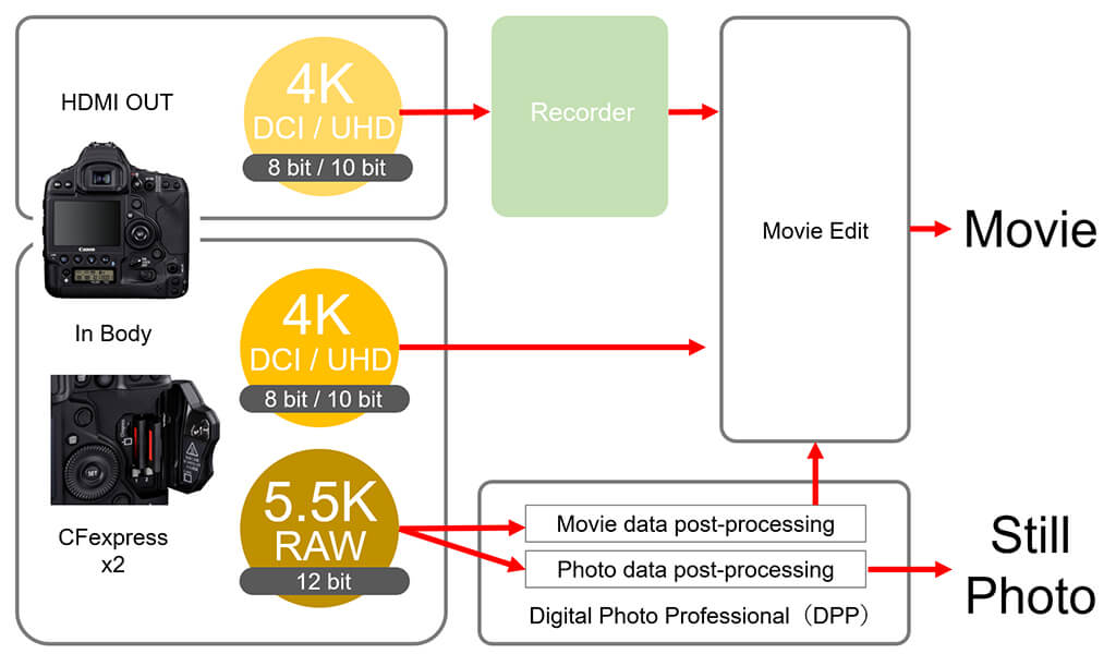 EOS-1D X Mark III video editing workflow