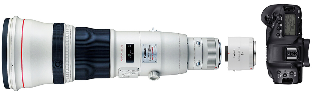 EOS-1D X Mark III with EF600mm lens and extender