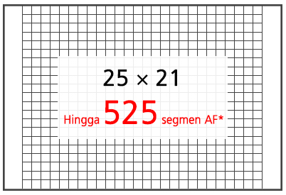 525 segmen AF