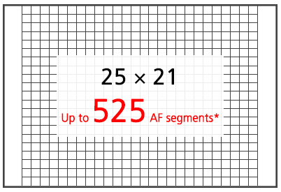 525 AF segments