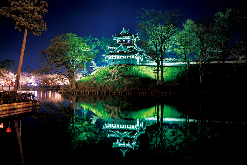 Takada Castle and sakura at night