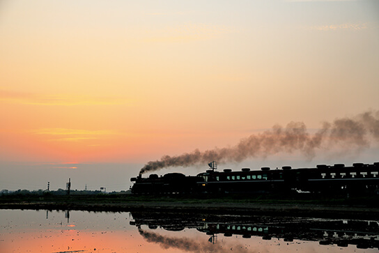 Train silhouette in evening sun