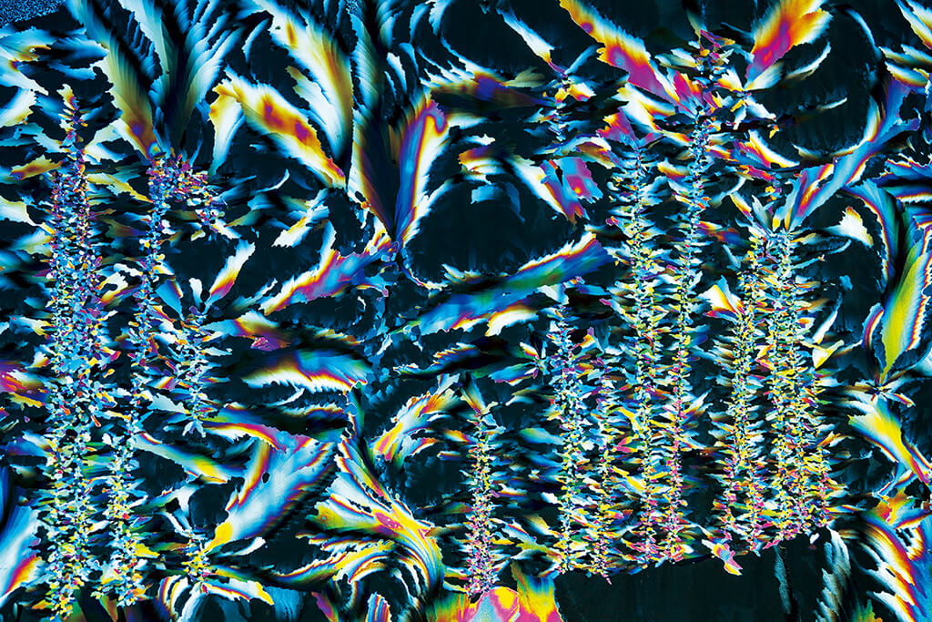 Cross-polarised photograph