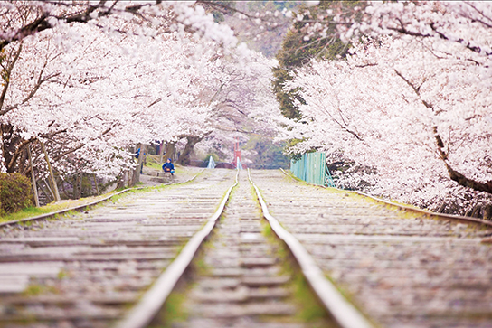 Train tracks at the right level