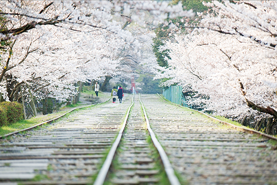 Train tracks shot too high above the ground