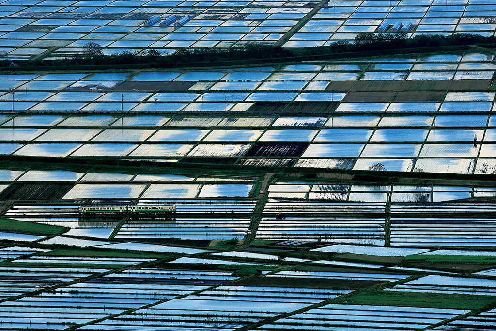 Rice fields with water reflections of sky