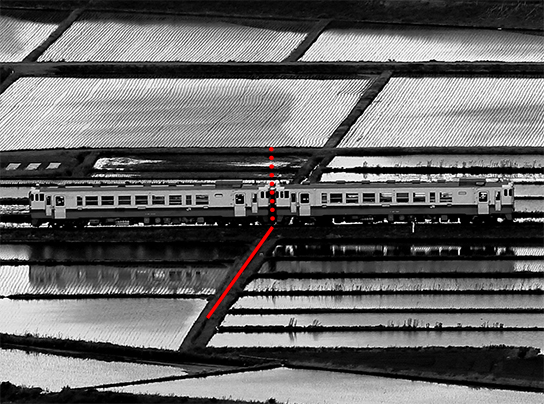 Close-up of train aligned with lines on rice field