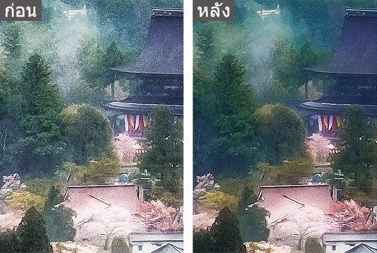 ภาพหลังการปรับแต่ง