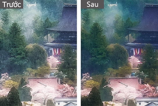 Hình ảnh sau xử lý hậu kỳ