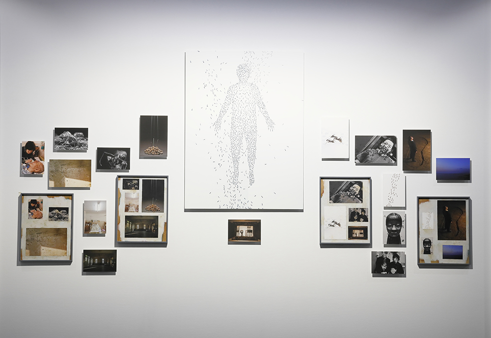 Images of ants and the artist’s father exhibited on a wall