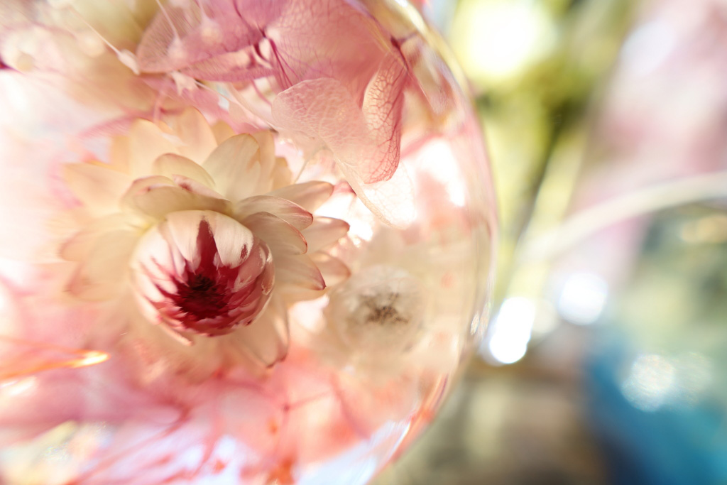 flower in blown glass with Centre Focus Macro