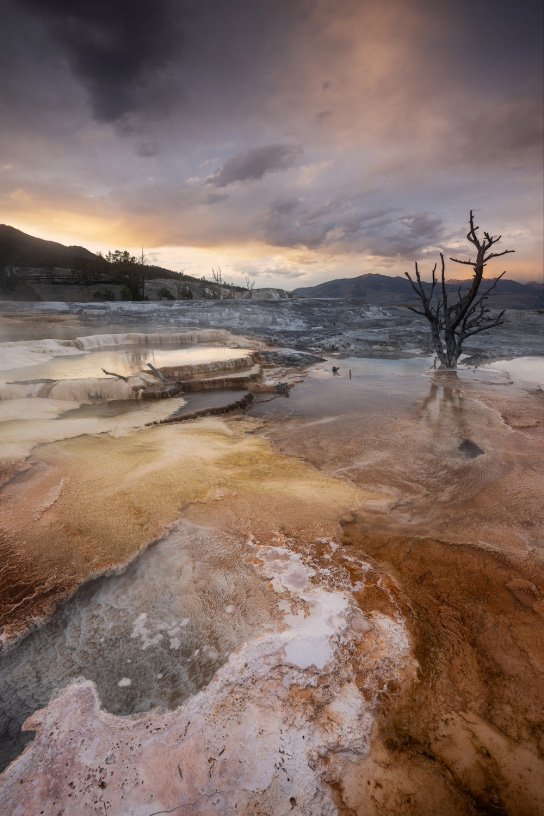 Handheld shot in low light at 1/4 sec