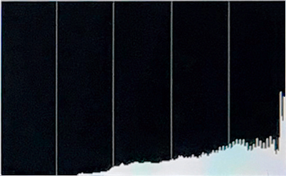 Histogram of overexposed shot