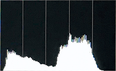 Histogram showing standard exposure