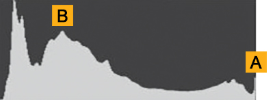 Alt:Histogram of train station scene