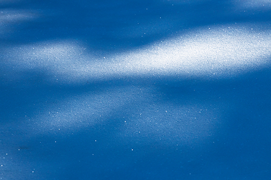 Tree shadows on snow