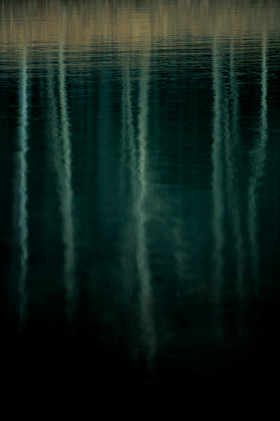 Water reflection of trees with shallow focus