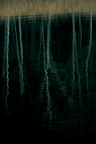 Water reflection of trees at f/8