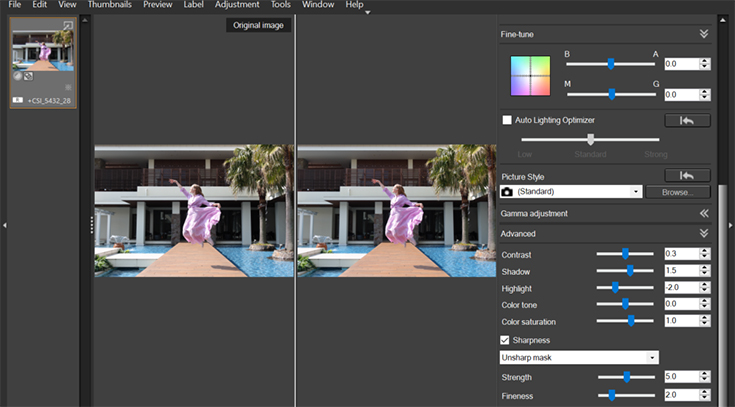 Screenshot of RAW post-processing from DPP  (Image from G5 X Mark III)