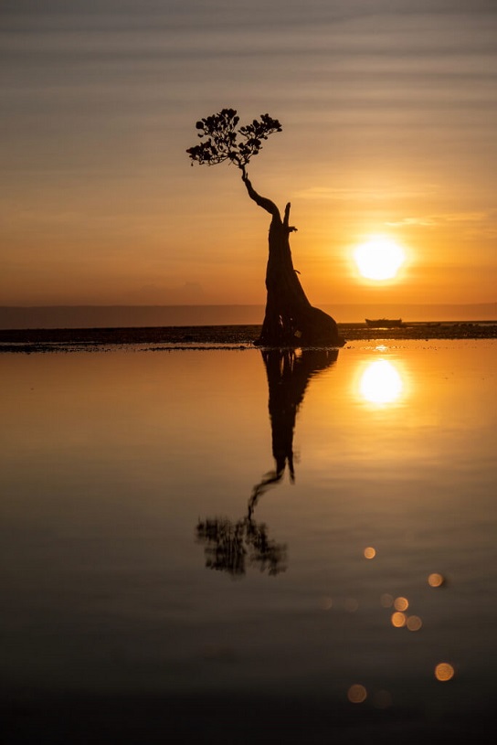 Water reflection shot