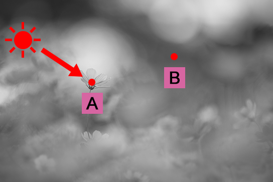 Marked diagram of light direction and shadow areas
