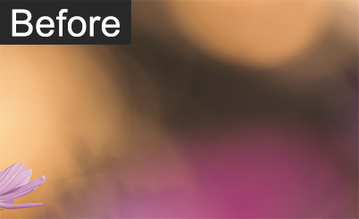 Close-up of shadow areas and bokeh before post-processing