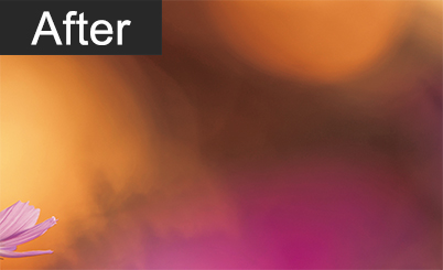 Close-up of shadow areas and bokeh after post-processing