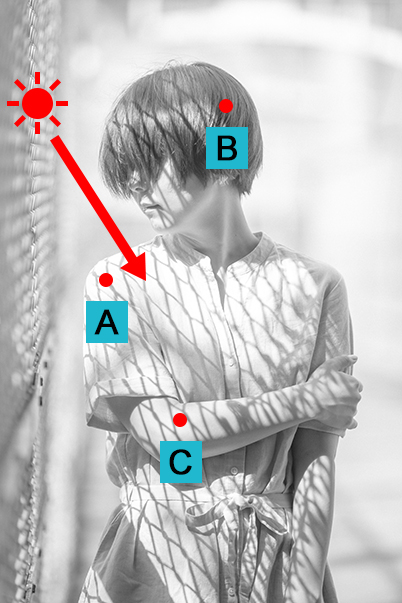 Marked diagram showing direction of light