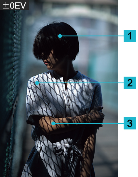 Same portrait shot with “correct” camera-determined exposure