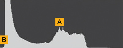 Histogram showing large amount of shadows, mid-tones and no light pixels