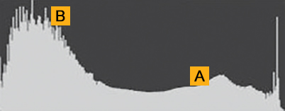 Histogram showing high contrast image