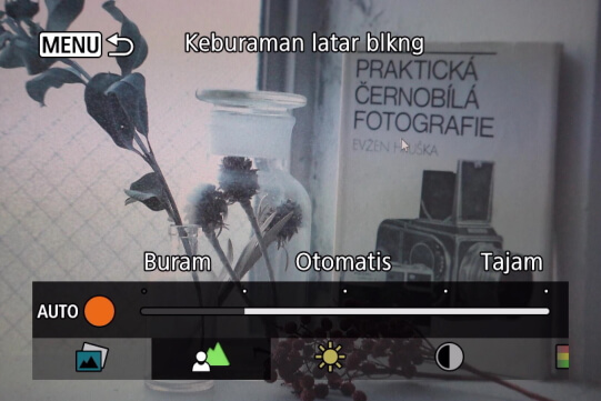 Menu Creative Assist Background Blur Canon