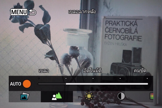 เมนูเบลอฉากหลังในฟังก์ชั่นช่วยปรับภาพสร้างสรรค์ของ Canon