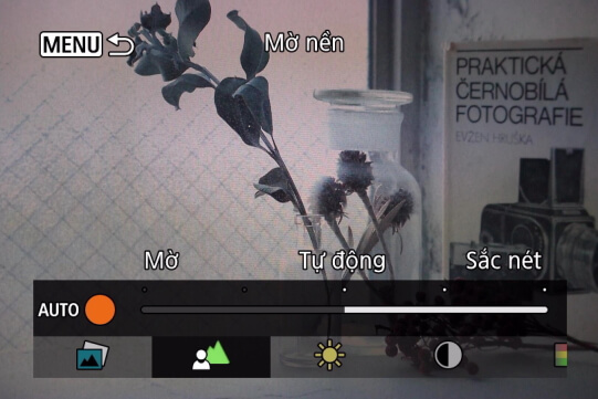 Trình đơn Nhòe Nền của Canon Creative Assist