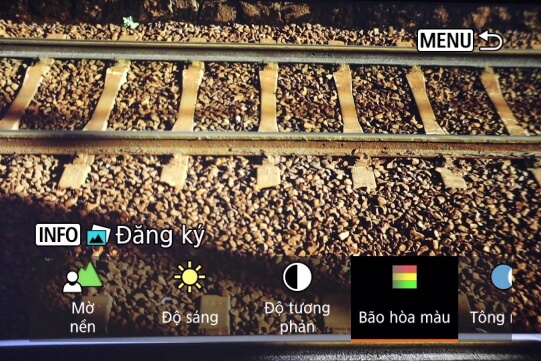 Creative Assist (Độ Bão Hòa)