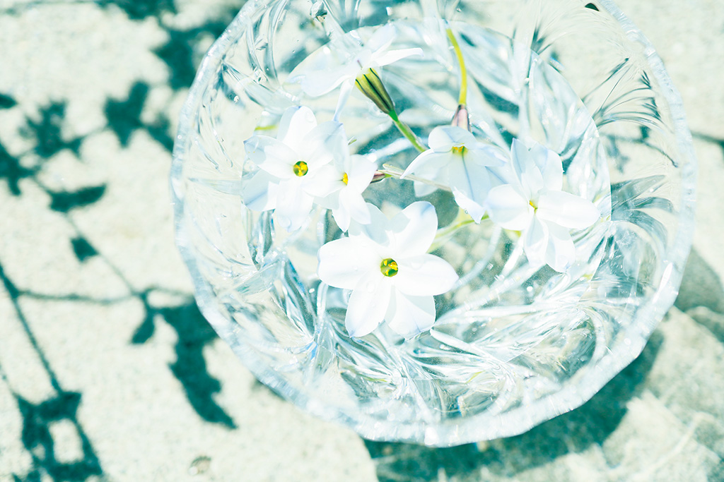 Flat lay of flowers in glass vase