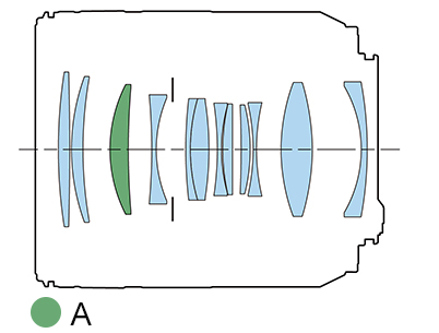 Chest-up portrait of girl