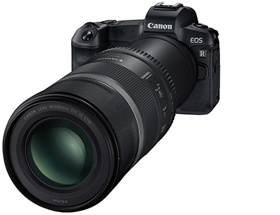 RF600mm on EOS R