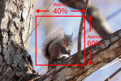 Squirrel image showing 40% x 60% AF area