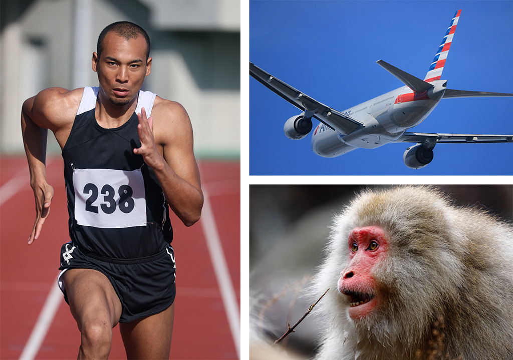 Super telephoto images of athlete, plane, and monkey