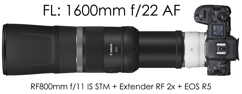 EOS R5 with RF800mm f/11 IS STM and Extender RF2x