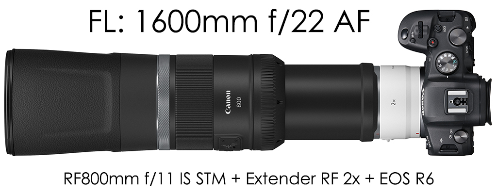 RF800mm f/11 IS STM + Extender RF2x + EOS R6