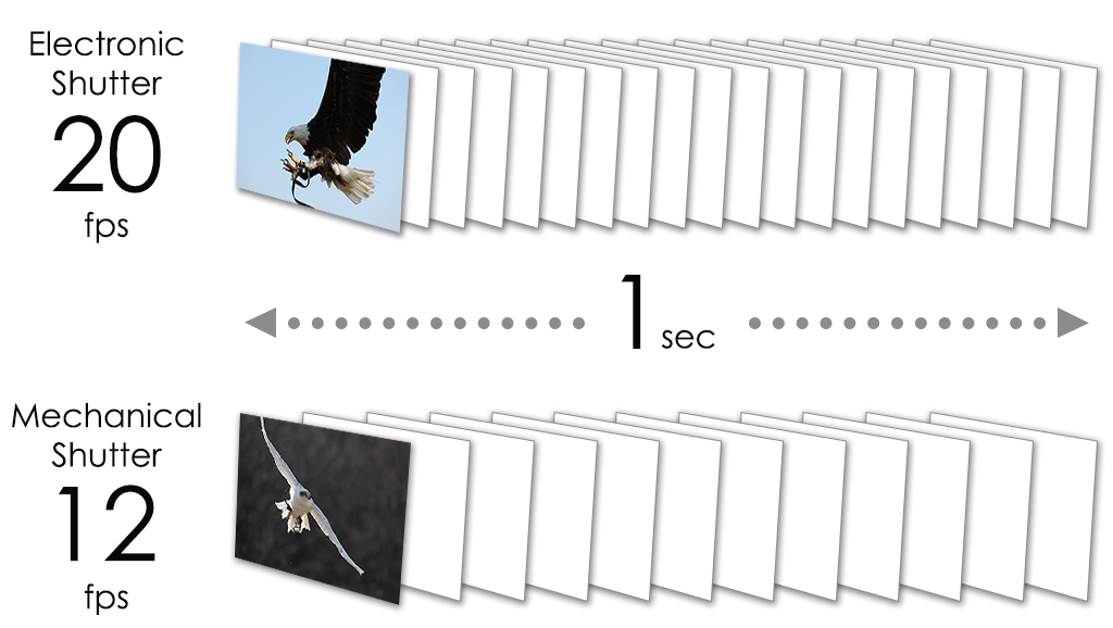 fastest burst shooting speed on EOS R6