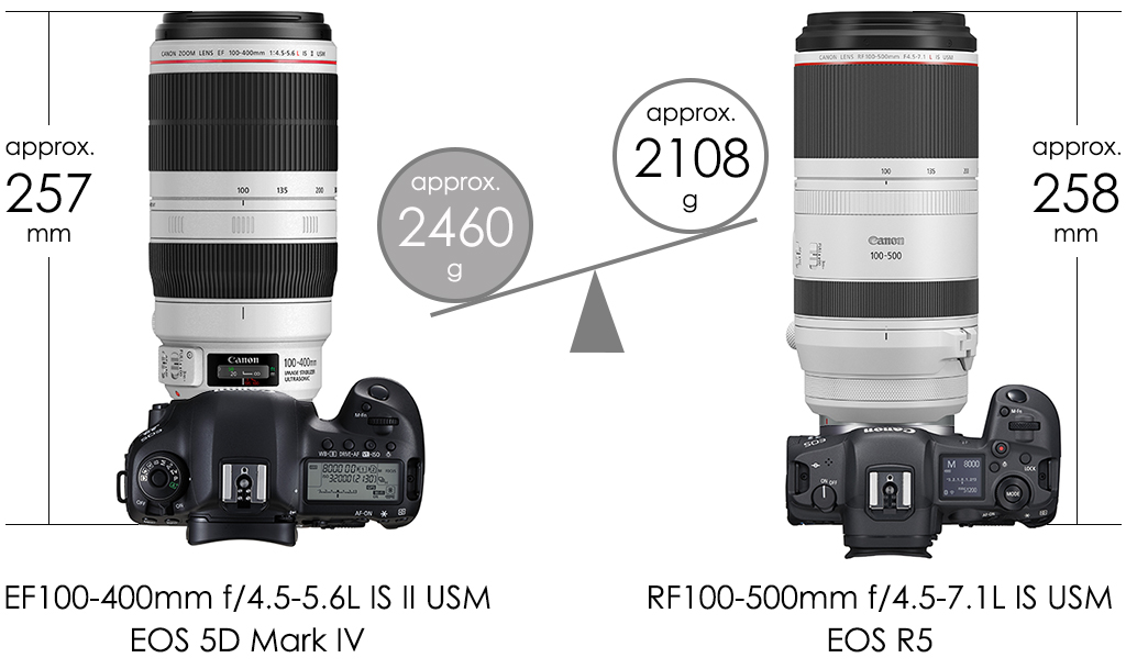 Comparison of size and weight of EF100-400mm on EOS 5D Mark IV vs RF100-500mm on EOS R5
