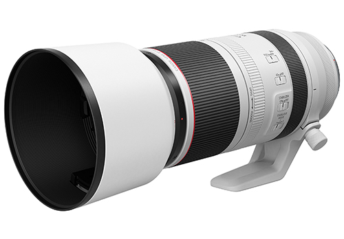 RF100-500mm f/4.5-7.1L IS USM IS STM with Lens Hood ET-83F (WIII)