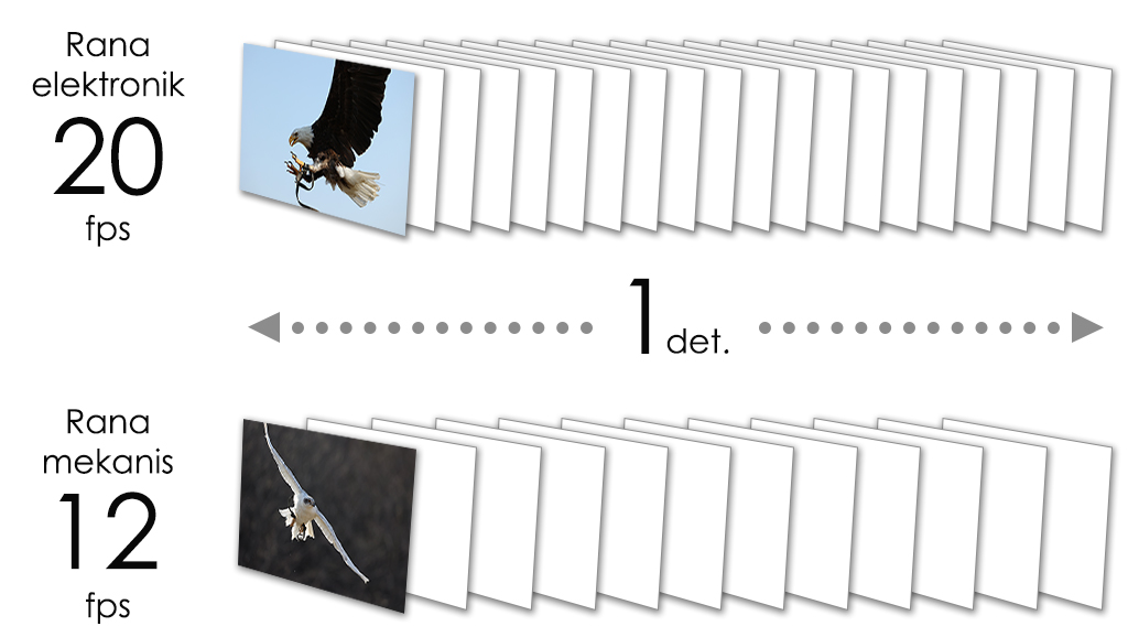 kecepatan pemotretan burst tercepat pada EOS R6