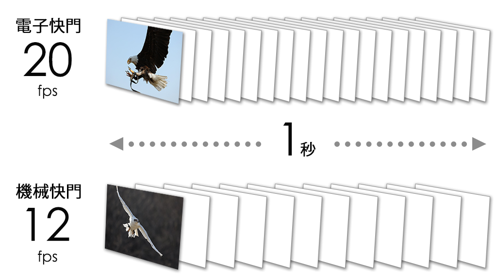 EOS R6 的最快連拍速度 