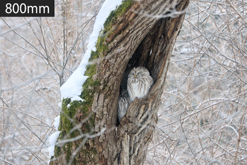 showing angle of view at different focal lengths